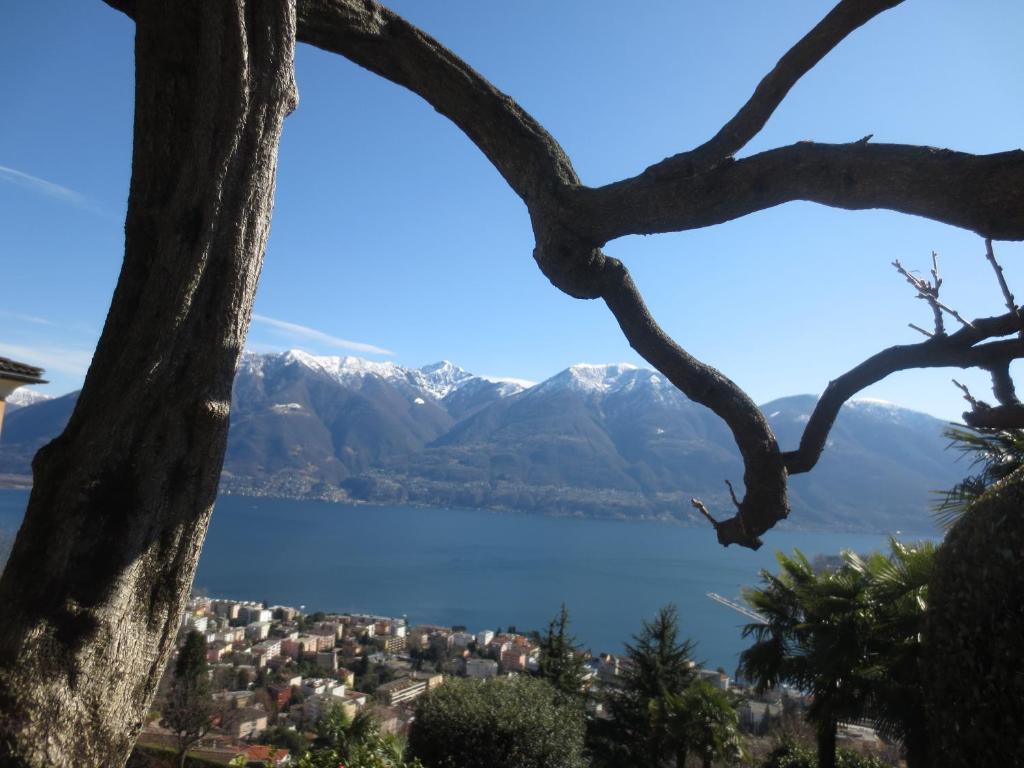 Casa Rabissale Apartment Locarno Room photo